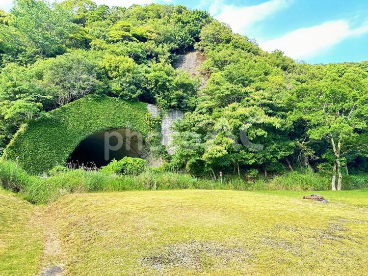 夏山園地　夏の海岸公園　トンネル 風景,晴れ,芝生広場の写真素材