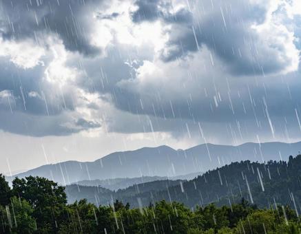 雨 雨の写真