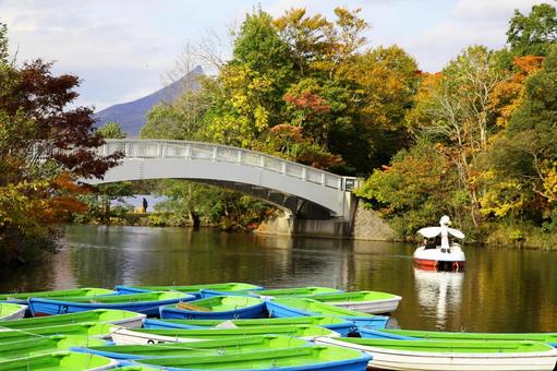 大沼国定公園の美しい景色 空,秋,風景の写真素材