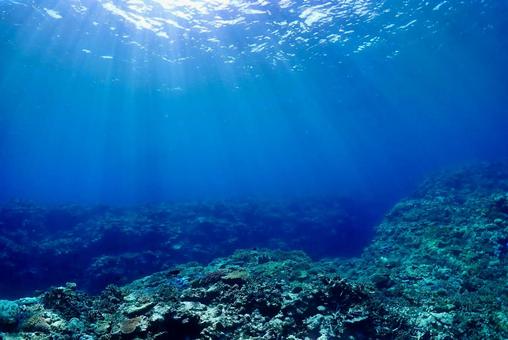 沖縄・西表島 青い海と珊瑚礁 沖縄・西表島 青い海と珊瑚礁 スキューバダイビング,ダイビング,珊瑚礁の写真素材