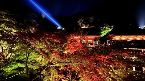 京都の紅葉ライトアップ1 京都の紅葉ライトアップ1の写真