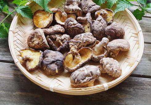 干し椎茸 乾物 笊 どんこ椎茸 椎茸,乾物,乾燥の写真素材