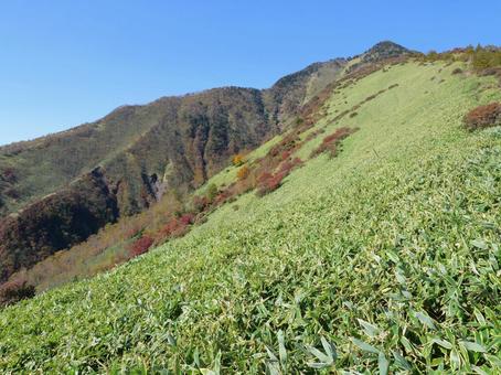 秋の霧降高原から赤薙山を仰ぐ 霧降高原,ハイキング,高原の写真素材