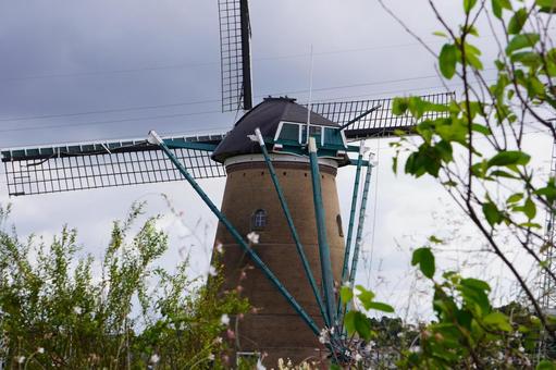 Photo, shikubinuma, sakura furusato square, windmill, 