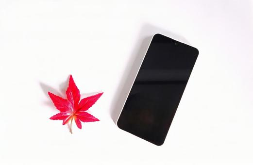 スマホ&紅葉(表) スマホ&紅葉(表) スマホ,ビジネス,紅葉の写真素材