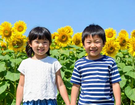 ひまわり畑と子供と青空 ひまわり畑と子供と青空の写真