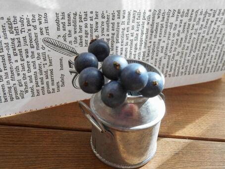ブルーベリーピックの写真