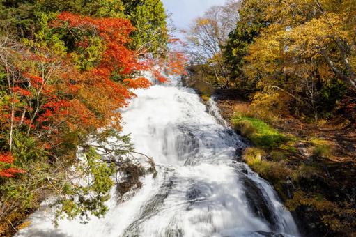 湯滝と紅葉 奥日光,湯滝,瀧の写真素材