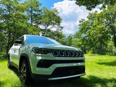 車と森林 suv,車,自動車の写真素材