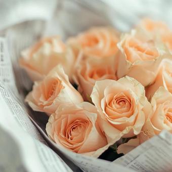 プレゼントの花束 プレゼントの花束の写真