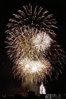 夜空に咲く打ち上げ花火 花火大会 夜空に咲く打ち上げ花火 花火大会 花火,大輪,北國大花火の写真素材