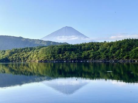 夏の西湖と富士山 夏の西湖と富士山 富士山,西湖,湖の写真素材
