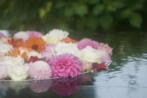 花手水 花手水の写真