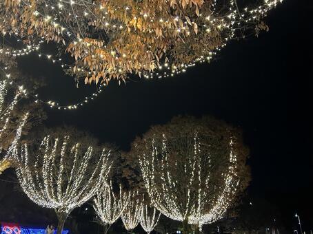 西山公園 クリスマス イルミネーション クリスマス,イルミネーション,ハートの写真素材
