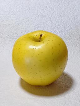 リンゴ リンゴ,果物,食材の写真素材