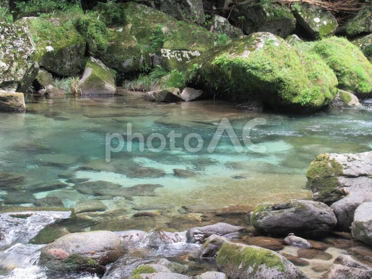 雄川の滝の近くの川 川,river,夏の写真素材