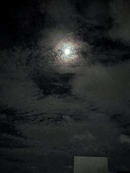 Photo, sky, background, cloud, 
