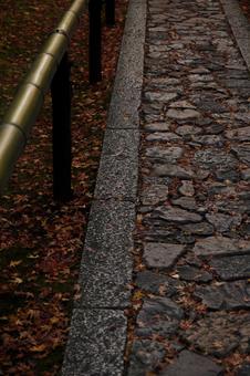 秋 秋色,秋,錦秋の写真素材