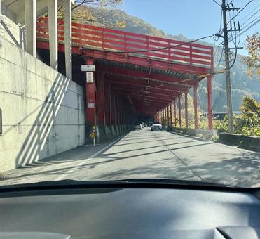 秋の山奥の道路　福井県大野市九頭竜川周辺 スノーシェッド,トンネル,道路の写真素材