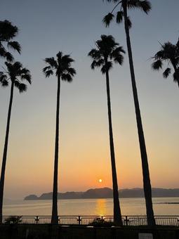 夕日 夕日の写真