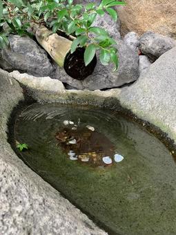 自然に調和する石の水盤の写真