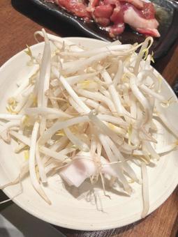 もやし もやしの写真