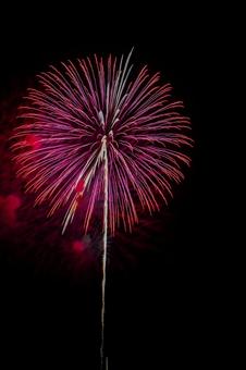 花火 花火の写真