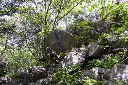 Photo, mount ishinomaki, trekking, toyohashi, 