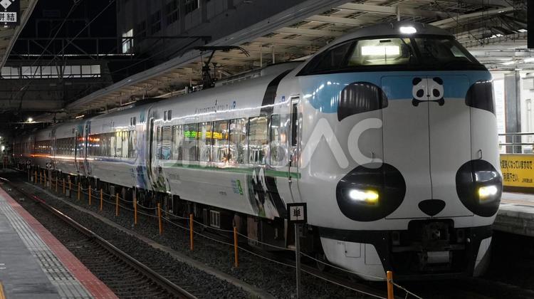 和歌山駅1番のりばのパンダくろしお 鉄道,287系,阪和線の写真素材