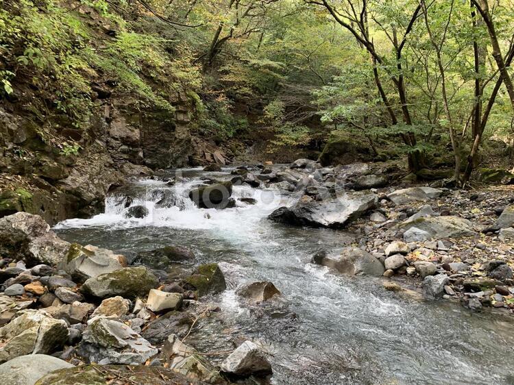 山　散策　小川 トレッキング,山,散策の写真素材