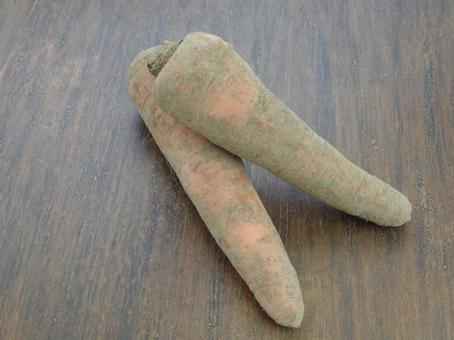 にんじん 土付き野菜 にんじん,土付き野菜,泥付き人参の写真素材