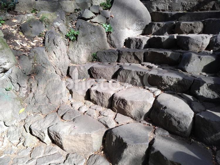 陽に照らされた石段 石段,階段,石畳の写真素材