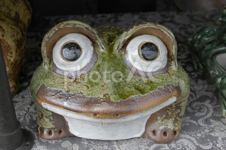 カエルの置き物 カエル,置き物,陶器の写真素材