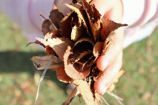 小さな手で拾い集めた「秋の落ち葉」 落ち葉,手,小さいの写真素材