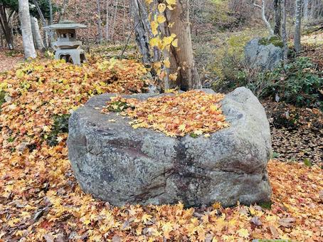 秋の景色 紅葉,落ち葉,枯葉の写真素材