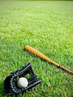 軟式野球ボールとグローブと金属バット 軟式野球ボールとグローブと金属バット 野球,軟式野球,グローブの写真素材