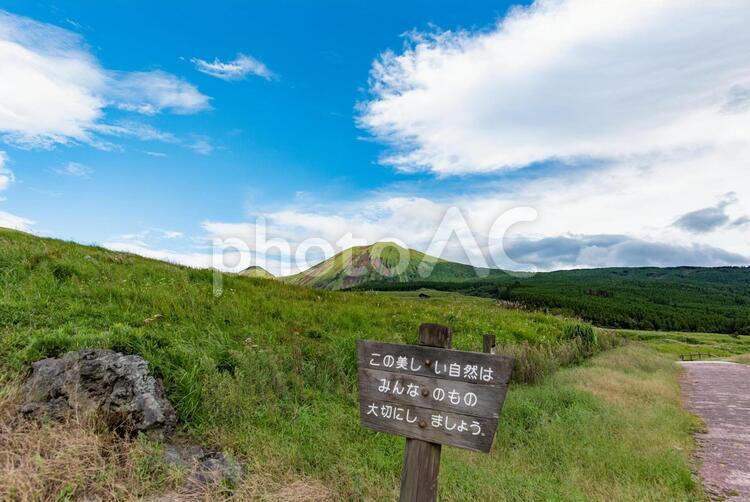 自然を大切に 背景,自然,草の写真素材