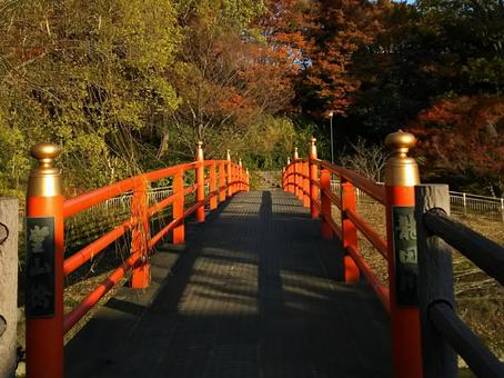 紅葉の竜田川に掛かる橋 紅葉狩り,竜田川,堂山橋の写真素材