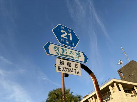 若宮大路の道路標識 若宮大路,道路標識,案内標識の写真素材