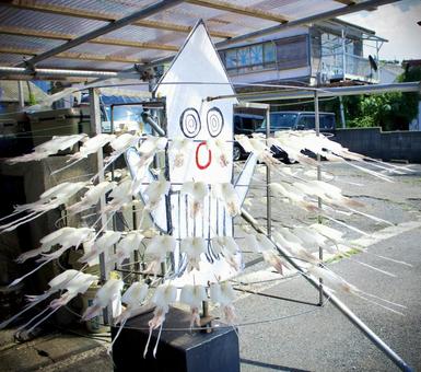 佐賀呼子の名物いかぐるぐる 佐賀呼子の名物いかぐるぐる 烏賊,干物,一夜干しの写真素材
