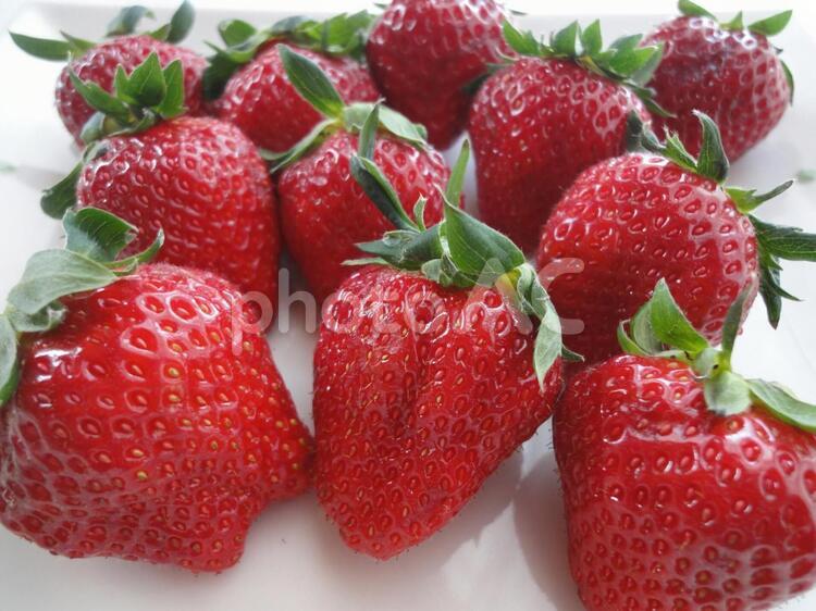 いちご５ いちご,赤い,果物の写真素材