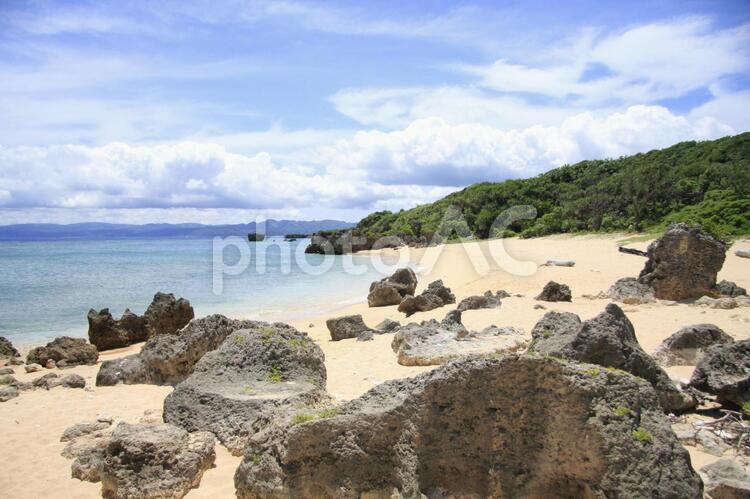 沖縄の海岸 沖縄の海岸 海岸,ビーチ,岩場の写真素材