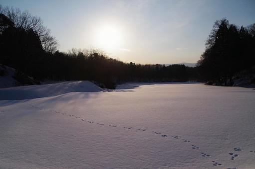 雪原と太陽 雪原と太陽 雪,雪原,冬の写真素材