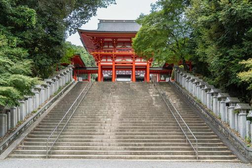 滋賀　近江神宮　楼門 近江神宮,神社,滋賀県の写真素材