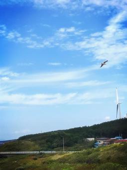 空 空の写真