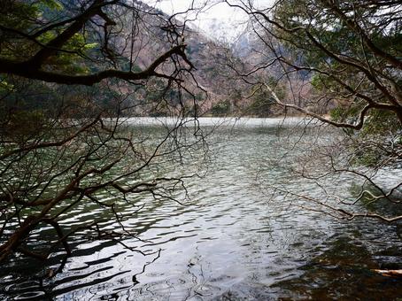 奥日光 湯の湖 奥日光 湯の湖の写真