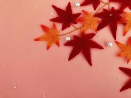紅葉とパールのフレーム(ぼかし) 紅葉とパールのフレーム(ぼかし)の写真