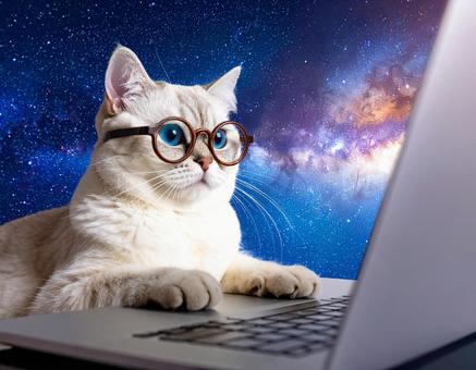 宇宙で仕事をする猫 宇宙で仕事をする猫の写真