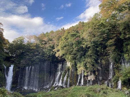 静岡県　白糸の滝 静岡県,白糸の滝,滝の写真素材
