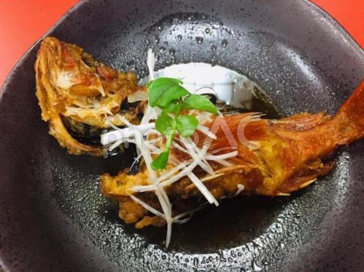 魚　揚げ煮 魚,揚げ煮,お祝いの写真素材